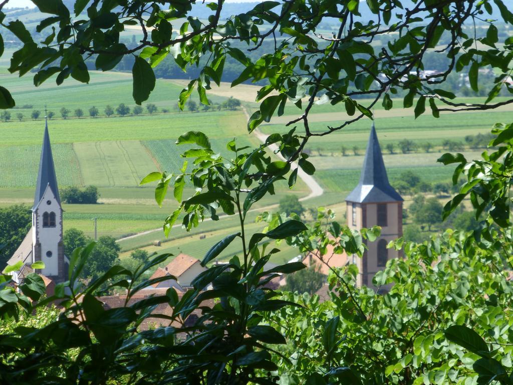 Bed and Breakfast L'Ete En Novembre Kirrwiller Exterior foto